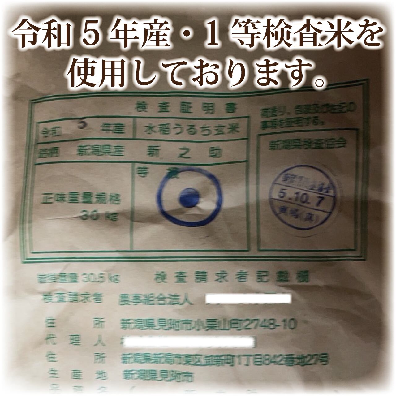 新潟県産新之助　令和5年産　玄米30kg