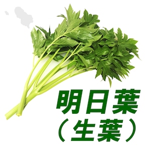 明日葉150g(1束) 八丈島産 生鮮 あしたば アシタバ  新芽 生葉 葉野菜 産地直送【送料別】