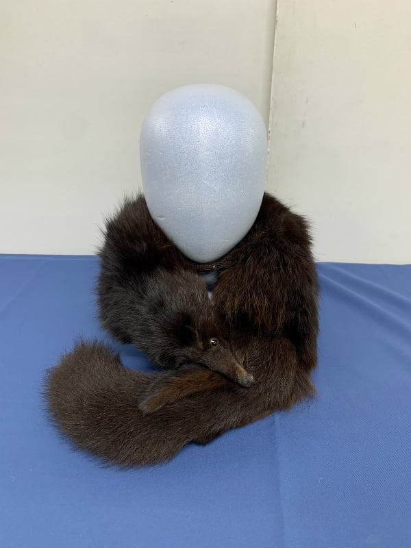 毛皮】帽子 57〜61センチ 自立耳 尻尾付け替え3種 日本製 | Pay ID