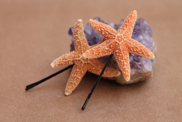 Starfish bobby pins