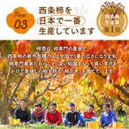 【2025年産】【11月発送】吊るし柿用西条柿 3L 36玉（7.5ｋｇ） 吊るし紐付