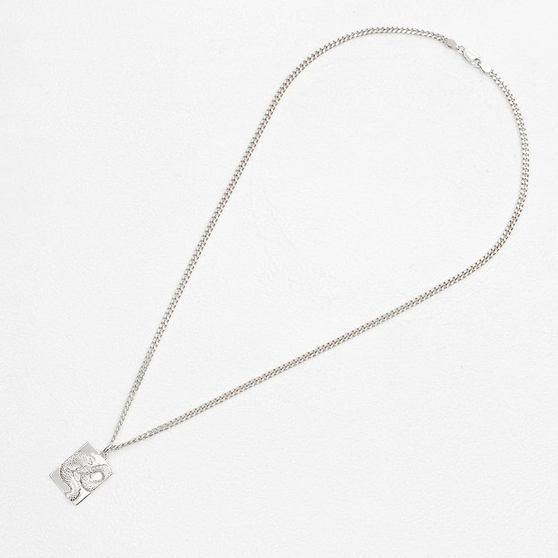 ヘビ 蛇 ペンダントトップ シルバー スネーク プレート ネックレス