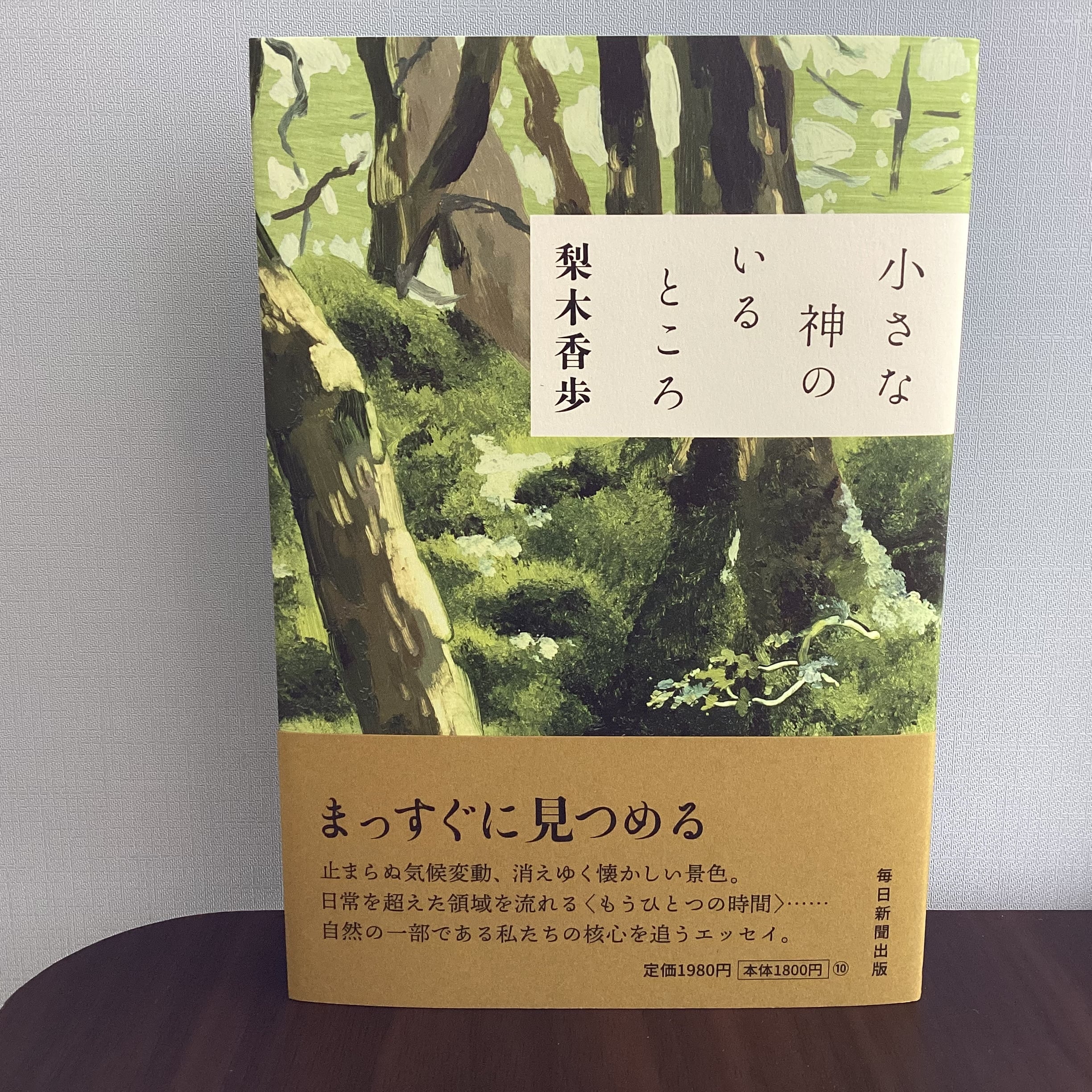 100兆円で何ができる？ 地球を救う10の思考実験／Rowan Hooper 著