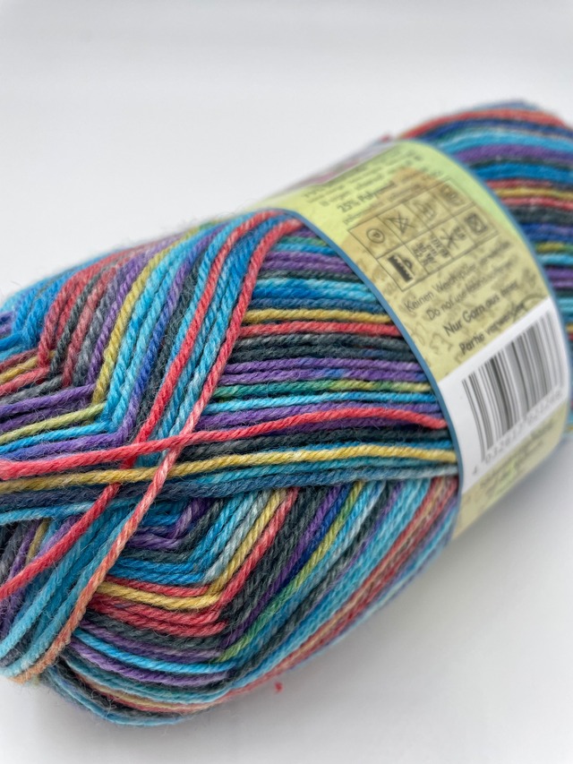 編む手が止まらない毛糸！Opal 『ホリデイズ』11243　4ply/4本撚り