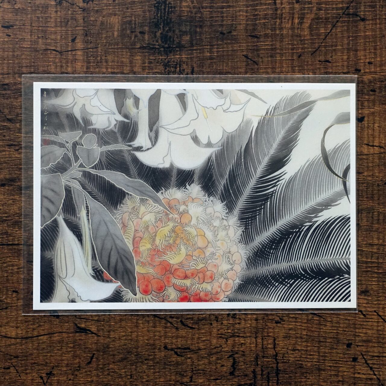 田中一村 「ソテツとアダン」ポストカード2枚セット | タイムカプセル