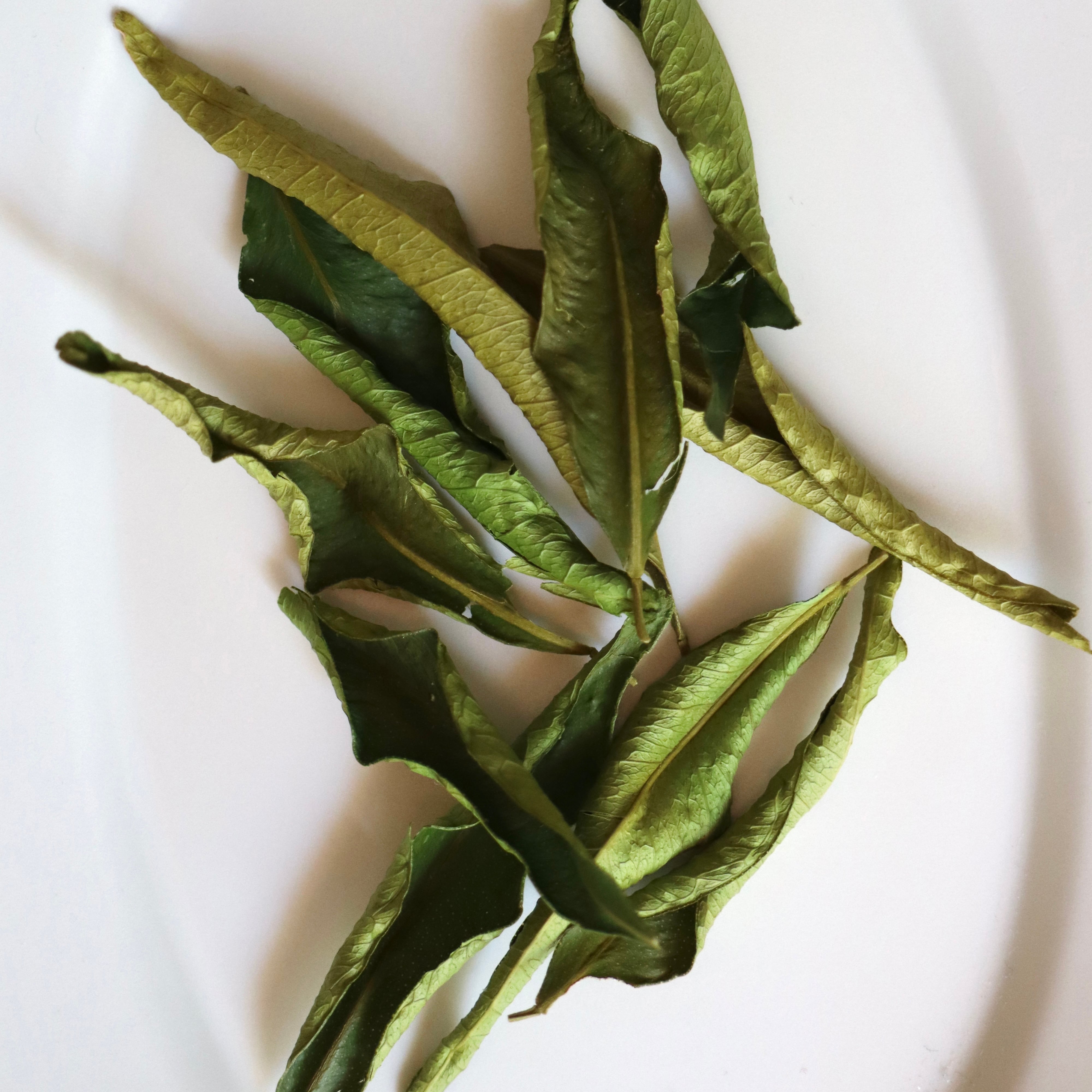 ドライ『大和橘の葉』無添加 素のまま乾燥 | なら橘プロジェクト推進協議会