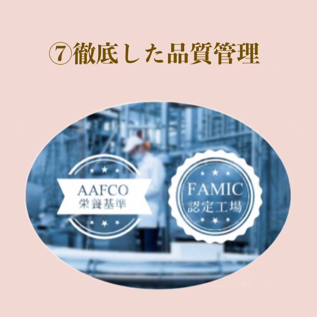 【定期便】 DeliciousWan 800g 3個セット