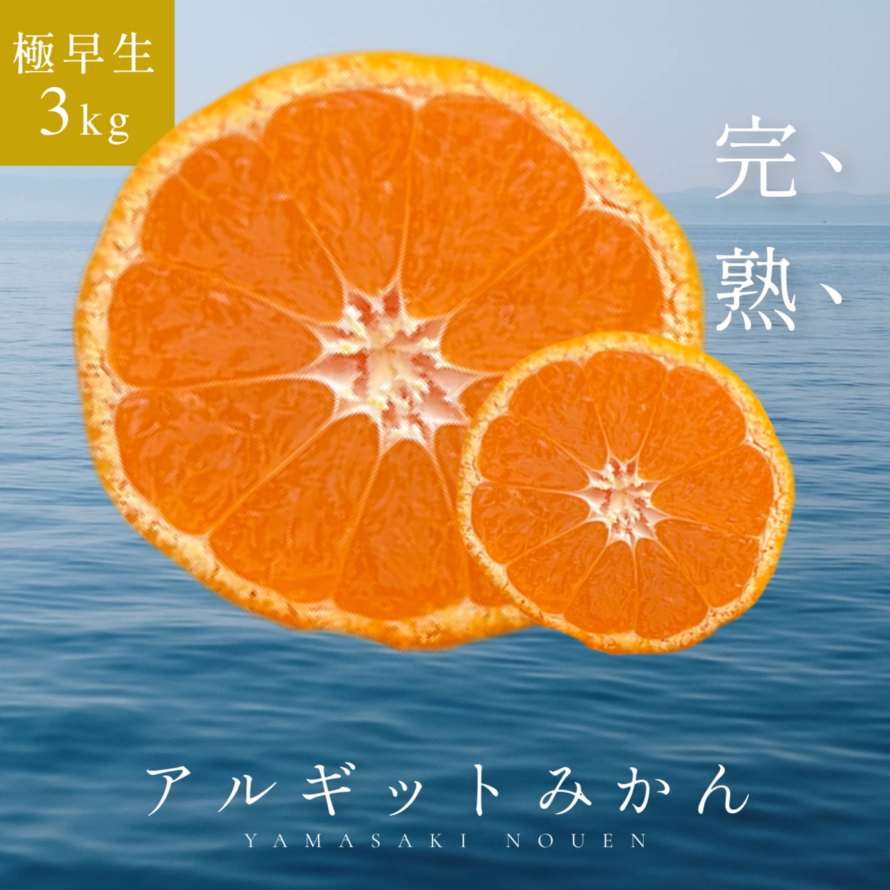 完熟アルギットみかん 約3kg（極早生）