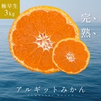 完熟アルギットみかん 約3kg（極早生）