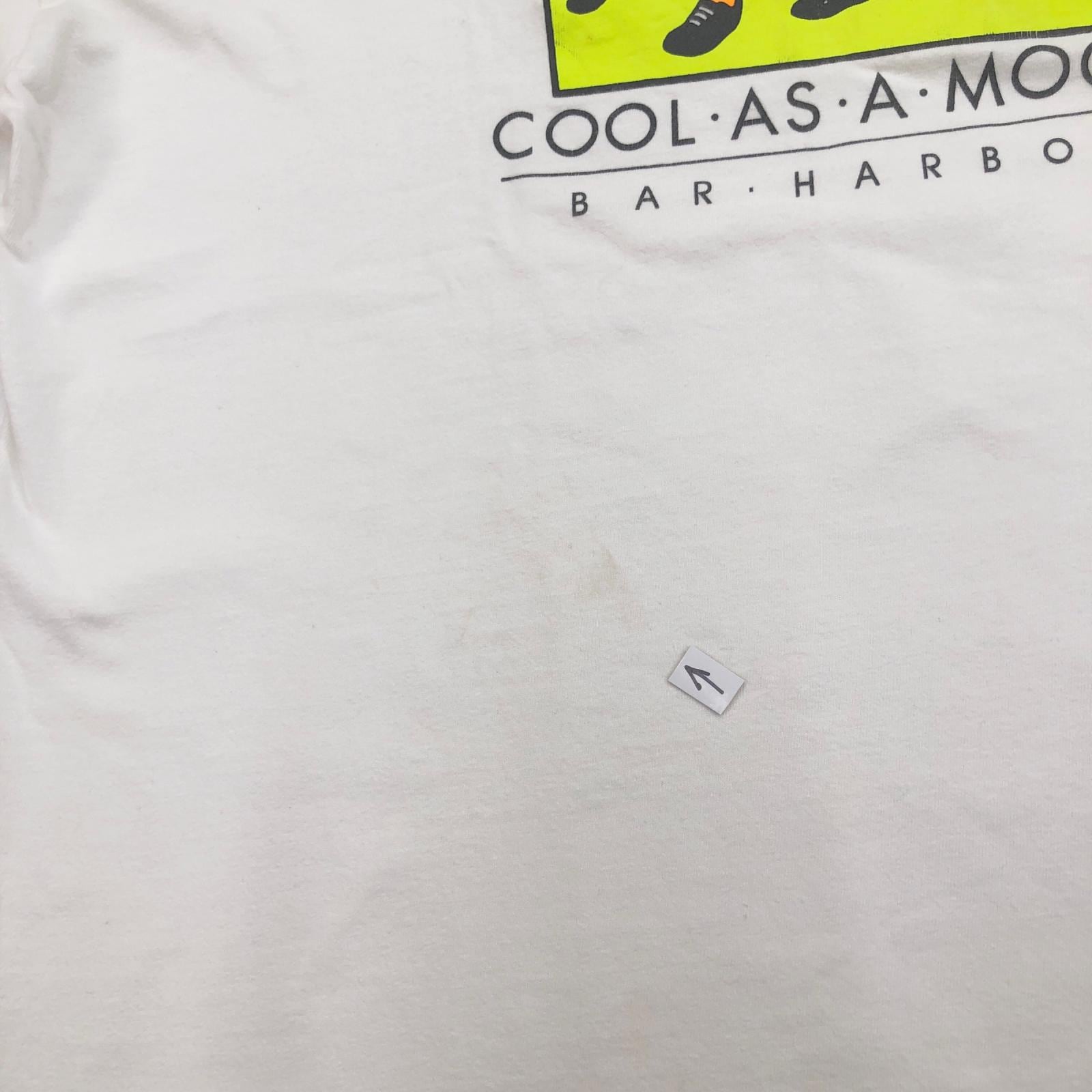 HANES ヘインズ 90年代 USA製 COOL AS A MOOSE スーベニア Tシャツ