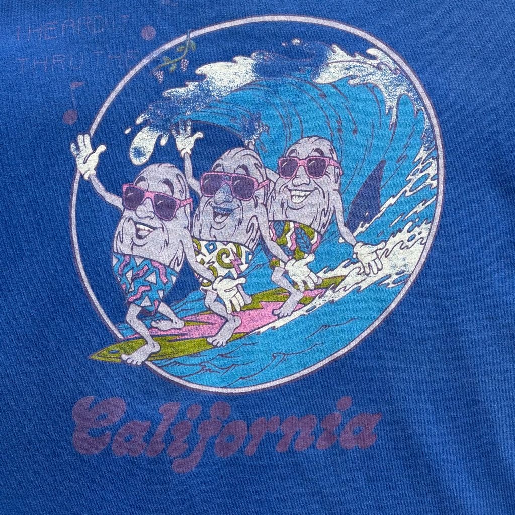 90s カリフォルニアレーズン サーフ Tシャツ XL 青 シングルステッチ I