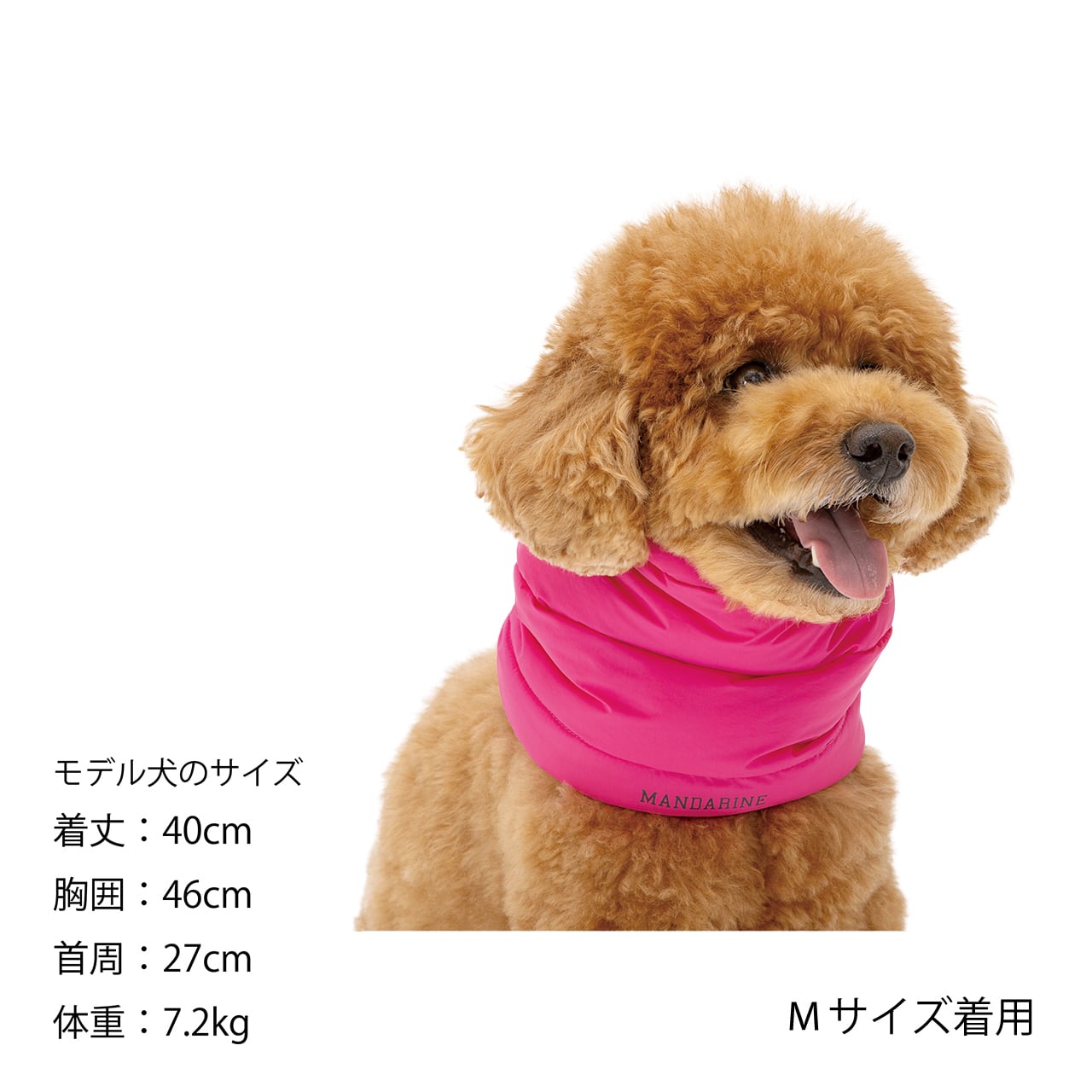 NECK WARMER（M） ネックウォーマー | MANDARINE BROTHERS