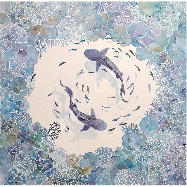 上滝玲子「冬の晴れ間の日のこと」