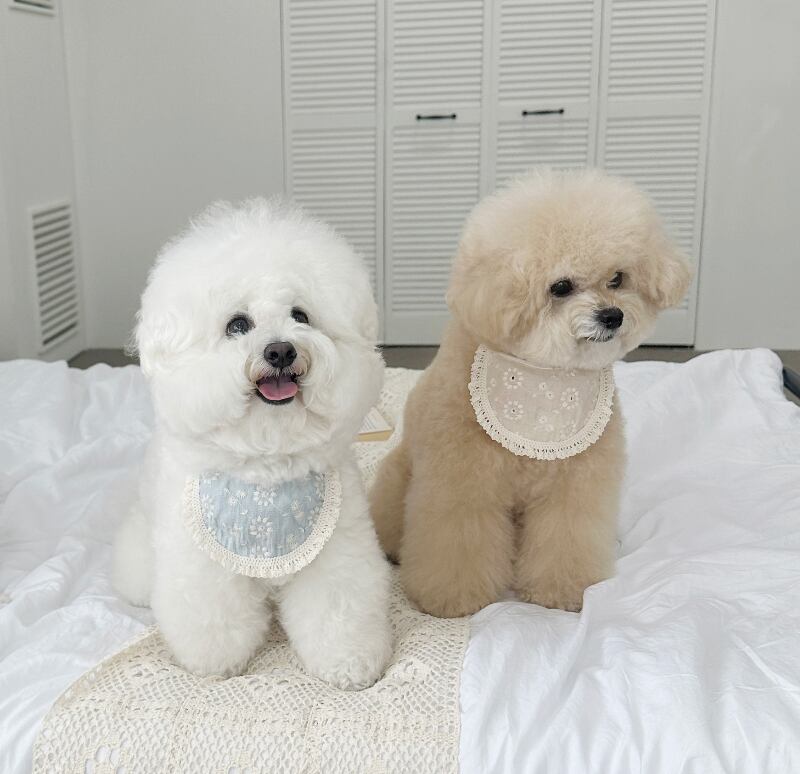 〈予約アイテム〉EYOU スタイ / キャンディバービブ