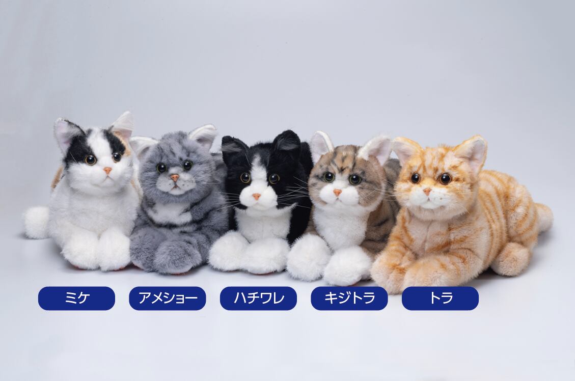 なでなでねこちゃんEX ハチワレ | トレンドマスター