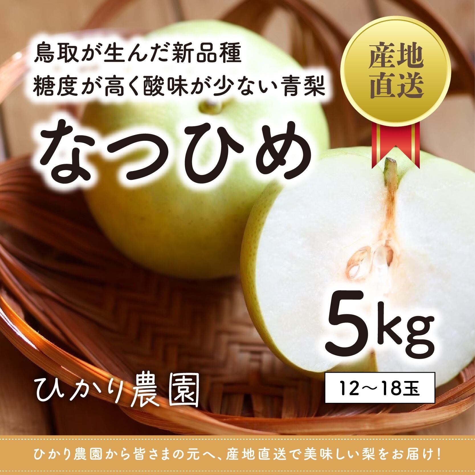 鳥取中央より　赤秀品16玉「なつひめ」5キロ 鳥取産】 優品・ご家庭用 なつひめ梨 5kg（12-18玉） | ひかり農園