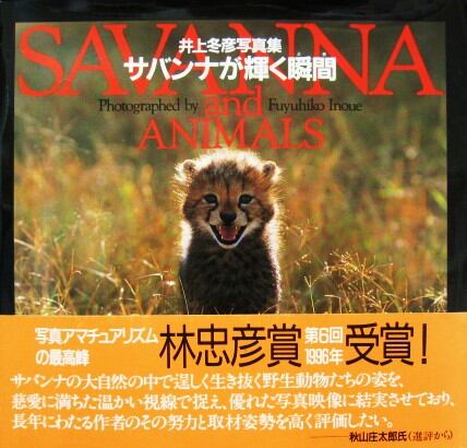 サバンナが輝く瞬間(井上冬彦写真集)