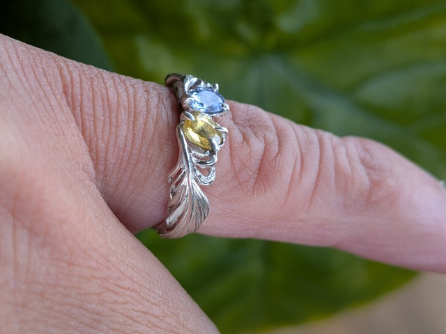 アルビレオ － Albireo Ring