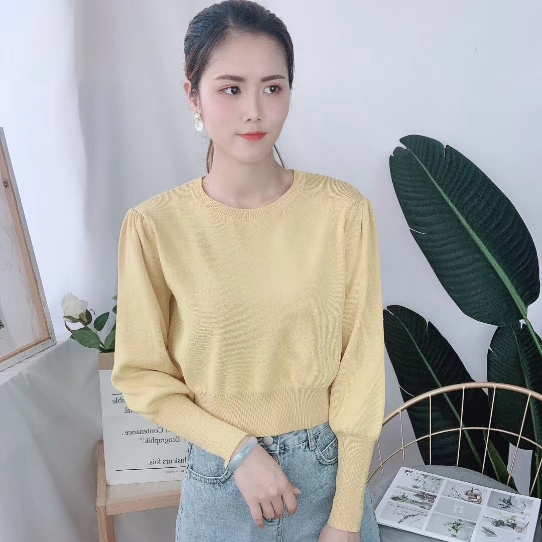 ラウンドネックニット