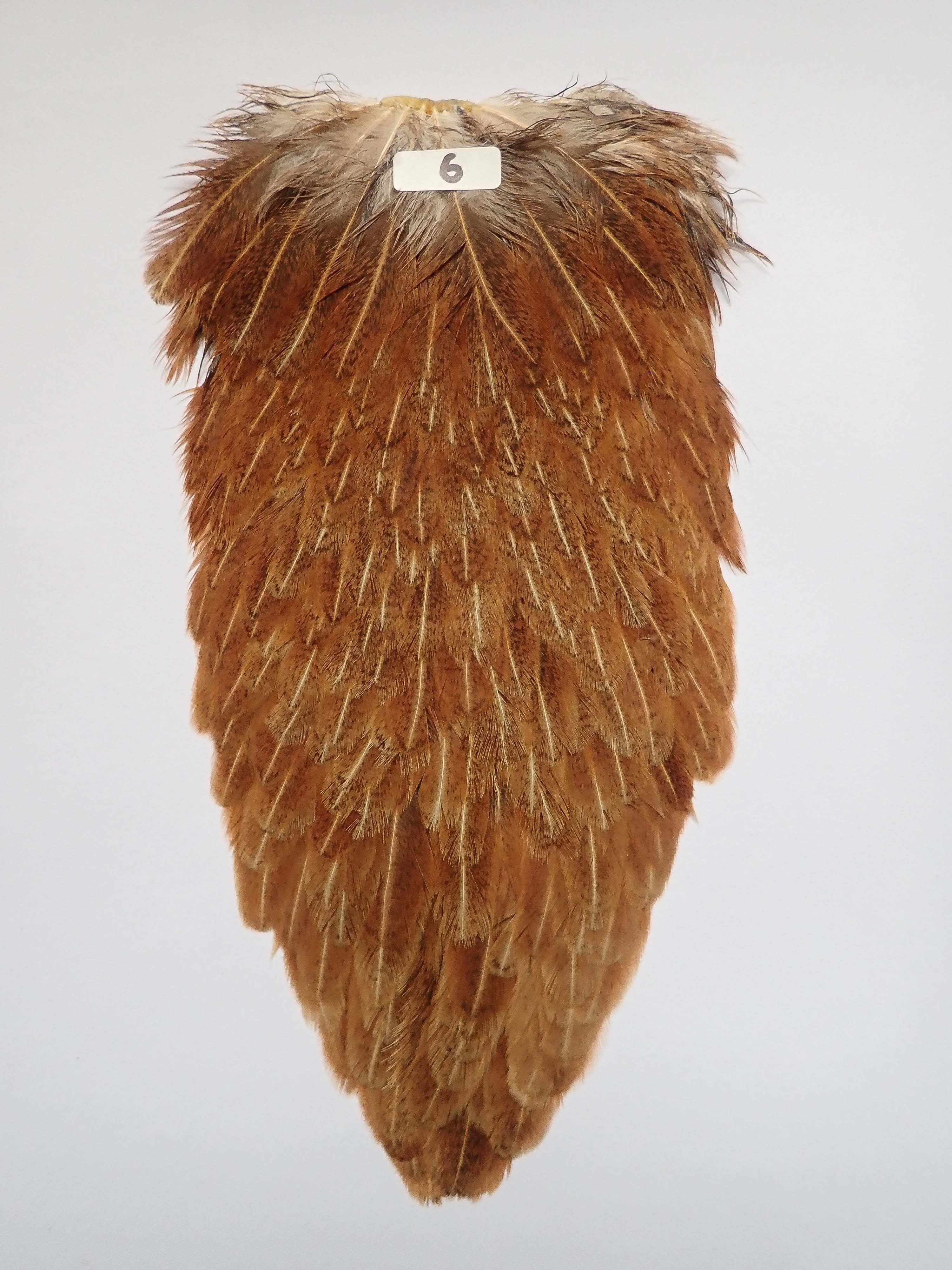 サドルハックル HEN SADDLE HACKLE | Anglefield Fly Supplies