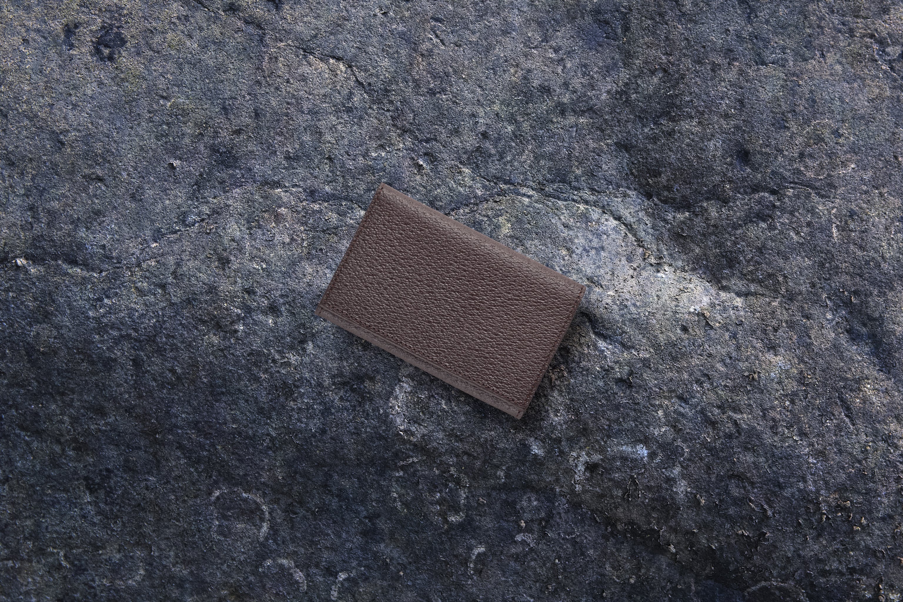 国産イノシシ革】カードケース Brown【STY original model