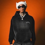 OG SMALL LOGO PIGMENT HOODIE