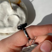 Lustre -flower carnival-