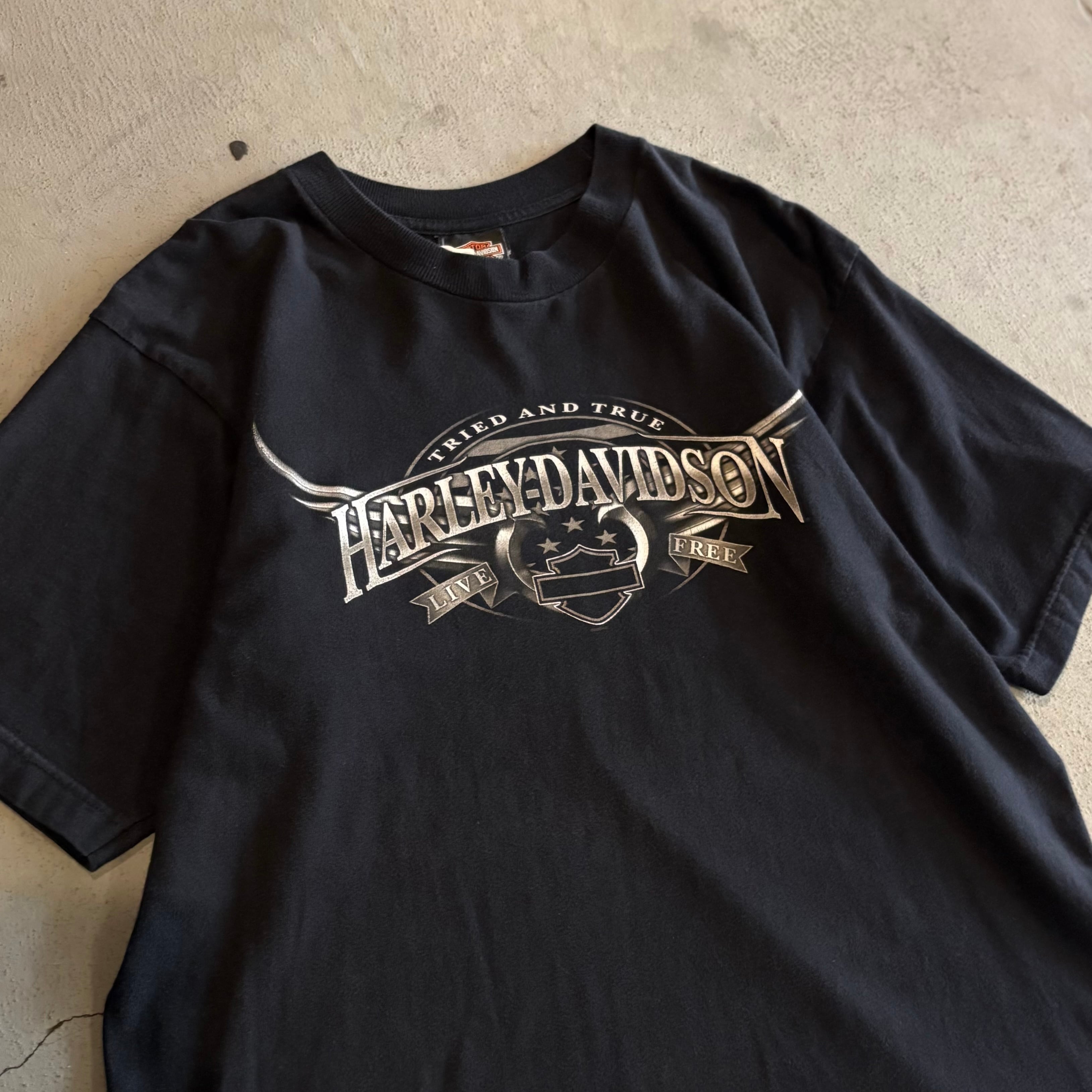 ﾌﾚｲﾑﾎﾟｹｯﾄ】00's Harley-Davidson Tee | 下北沢SPiKe＆SPiCe