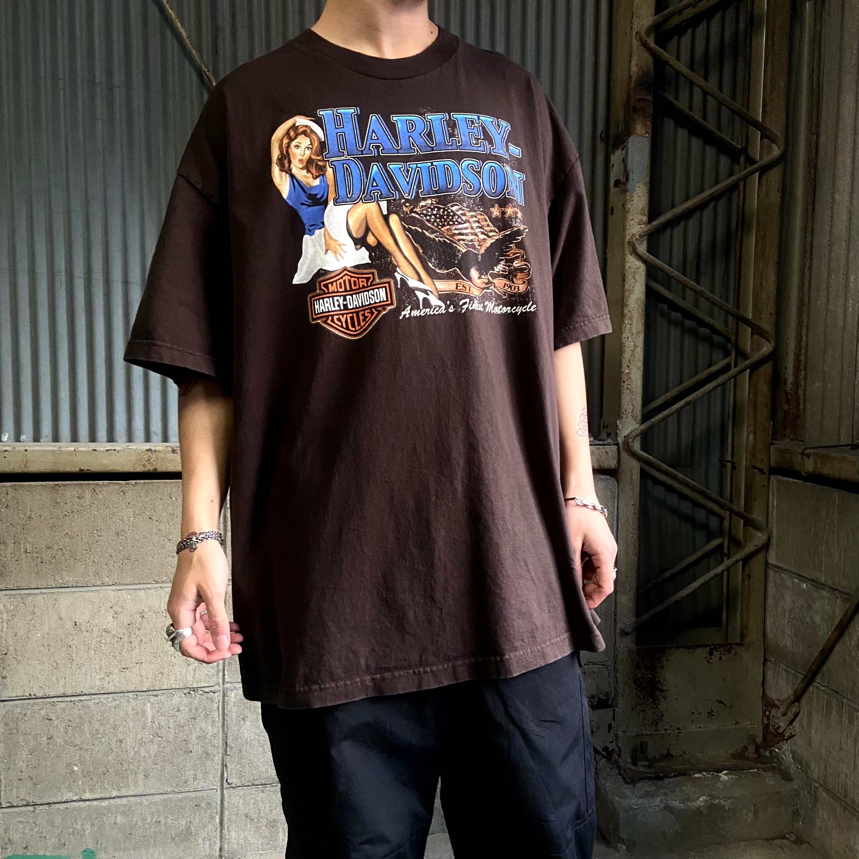 ☆最安値に挑戦 ハーレーダビッドソン Tシャツ USA製 ビッグシルエット