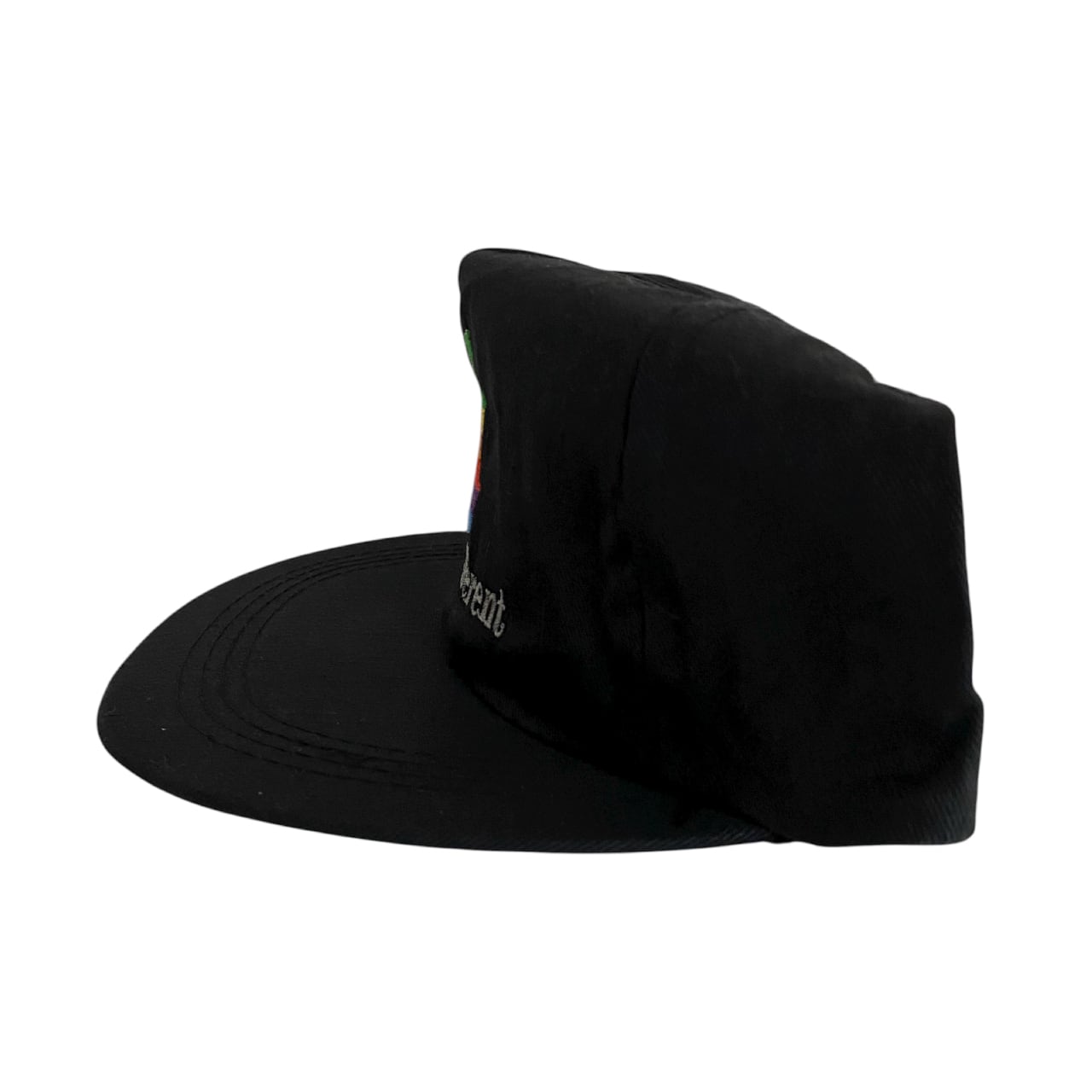 Apple Computer 90s Think Different Rainbow Logo Hat | Vintage High