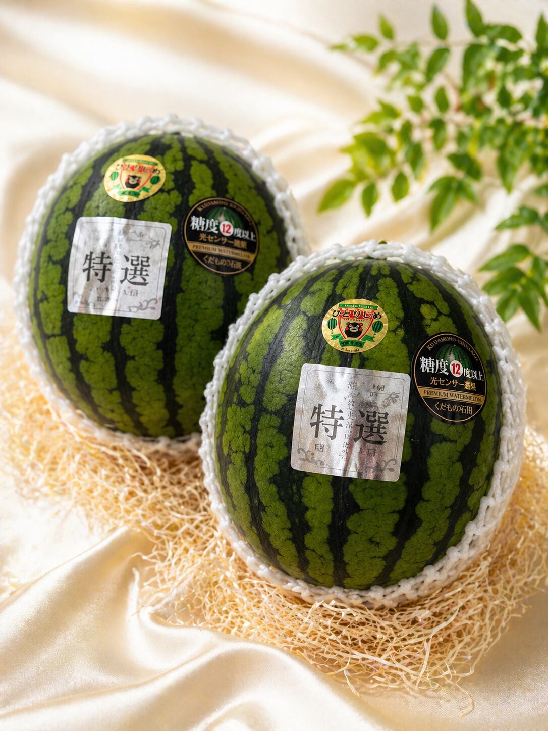 産地直送 熊本植木町スイカ【2玉入り】8kg 産地直送 熊本植木町スイカ【2玉入り】8kg 熊本県産植木スイカ2玉入【1
