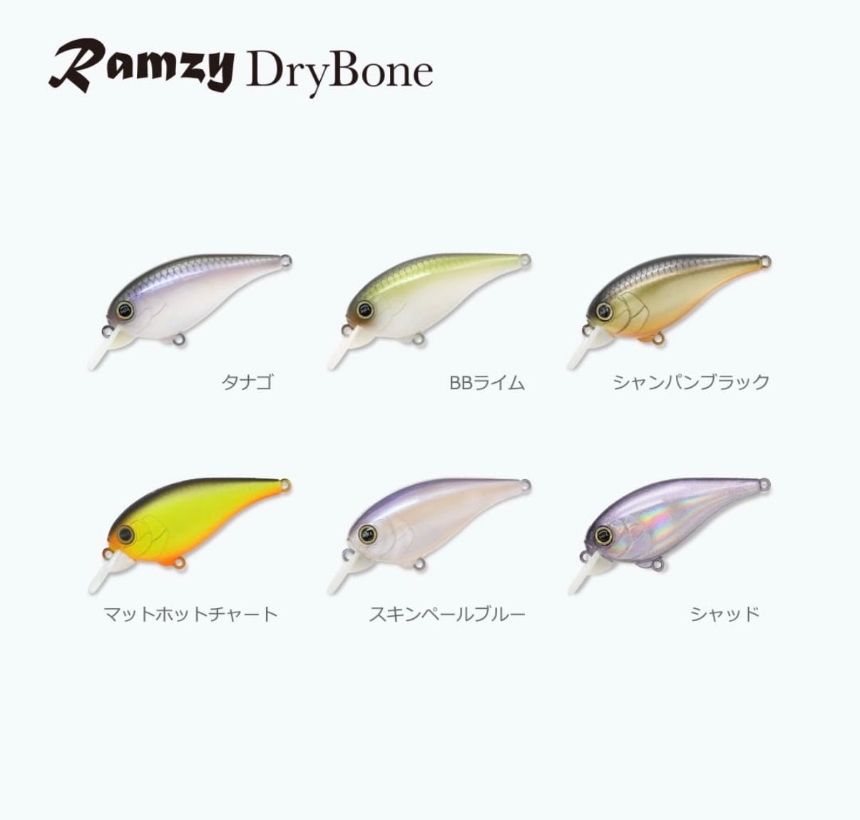 レヴォニック・ラムジー・ドライボーン・REVONIK・Ramzy・DRY BONE