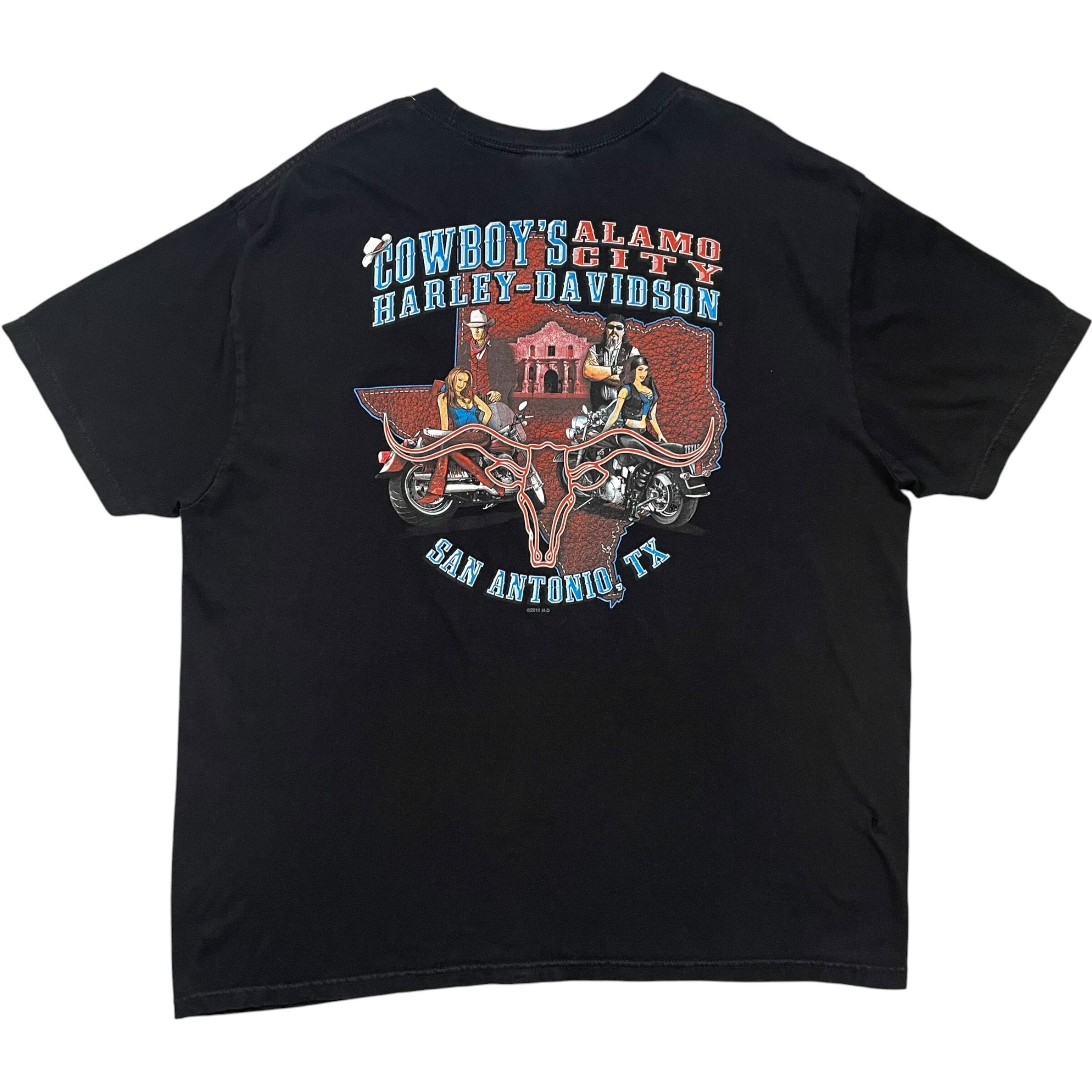 《XXL》Harley-Davidson ハーレーダビッドソン Tシャツ 両面プリント ホッグ ブラック no.10559