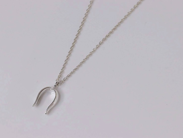 Horse shoe necklace①