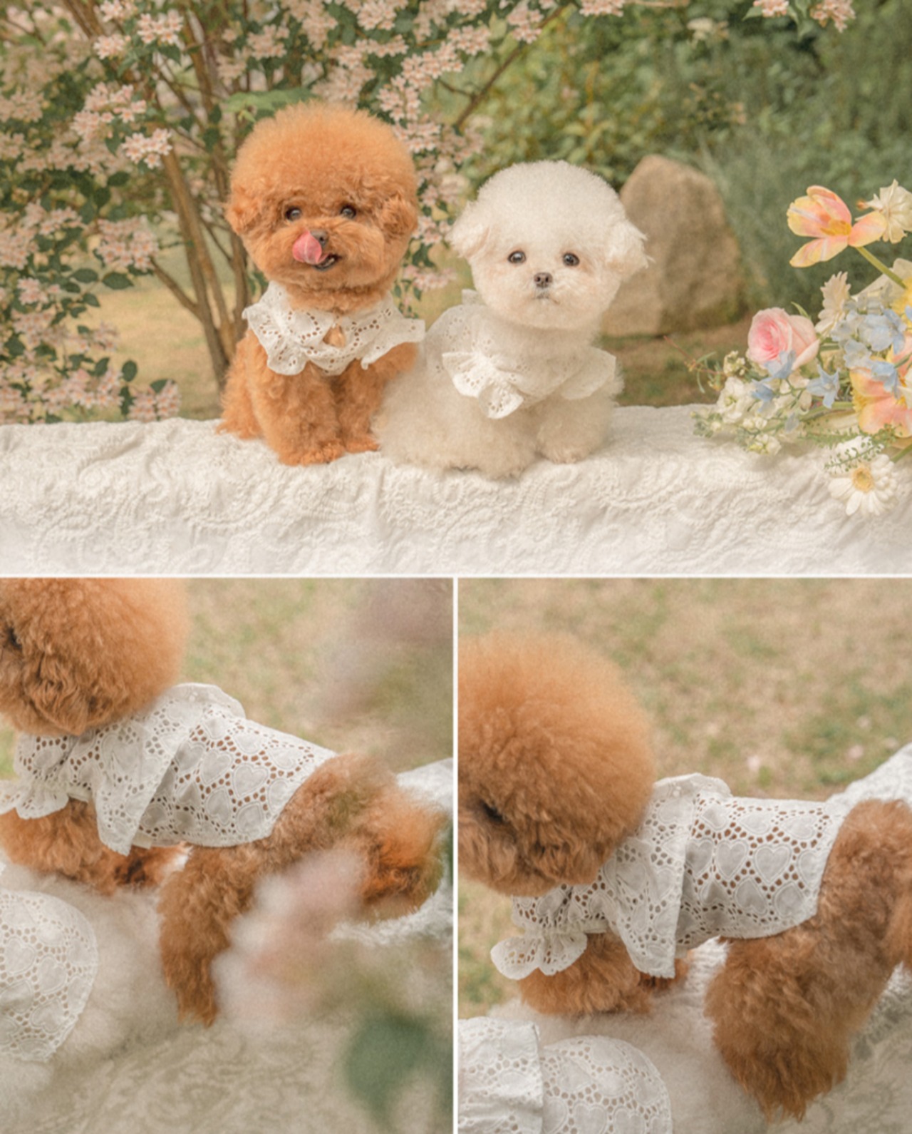 予約【pecoramou select】Lovebell One Piece