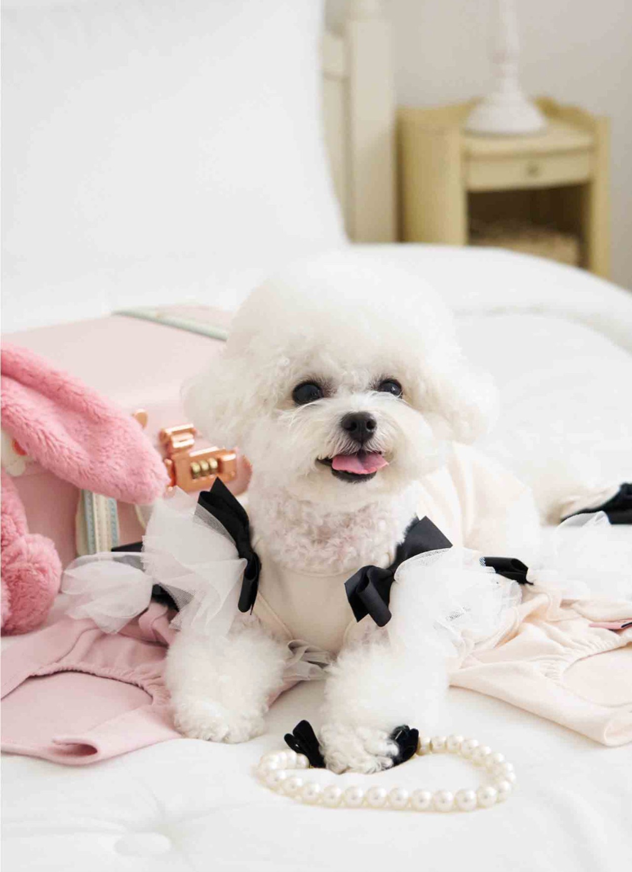 即納【MYLITTLEDOG】Coco Angel Top (cream)