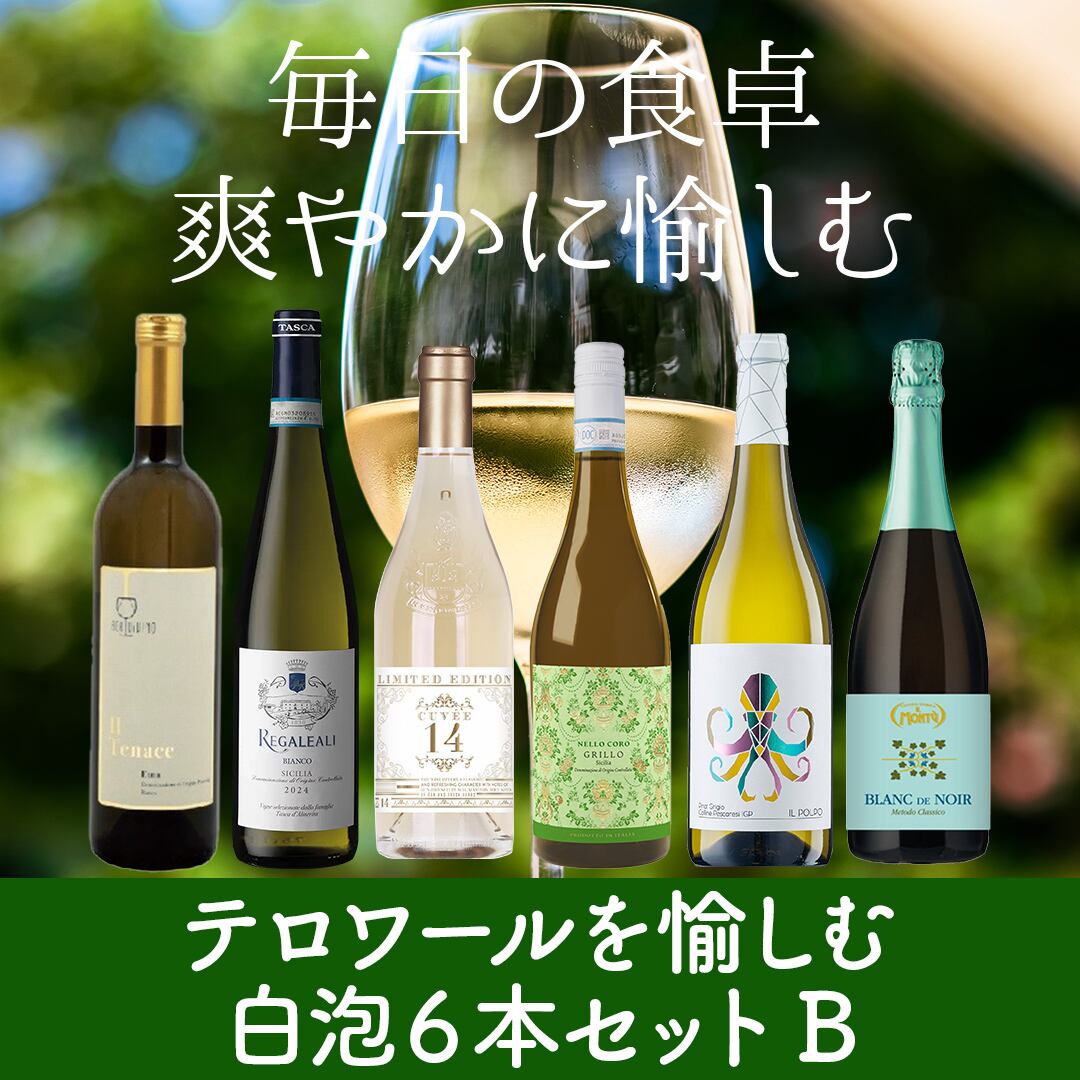 白泡ワイン6本セット〈送料無料〉(B706125)