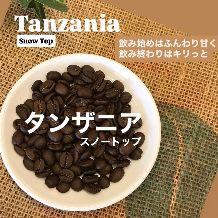 選べるコーヒーセット｜豆・粉 200g×2袋｜たっぷり楽しめる｜自家焙煎