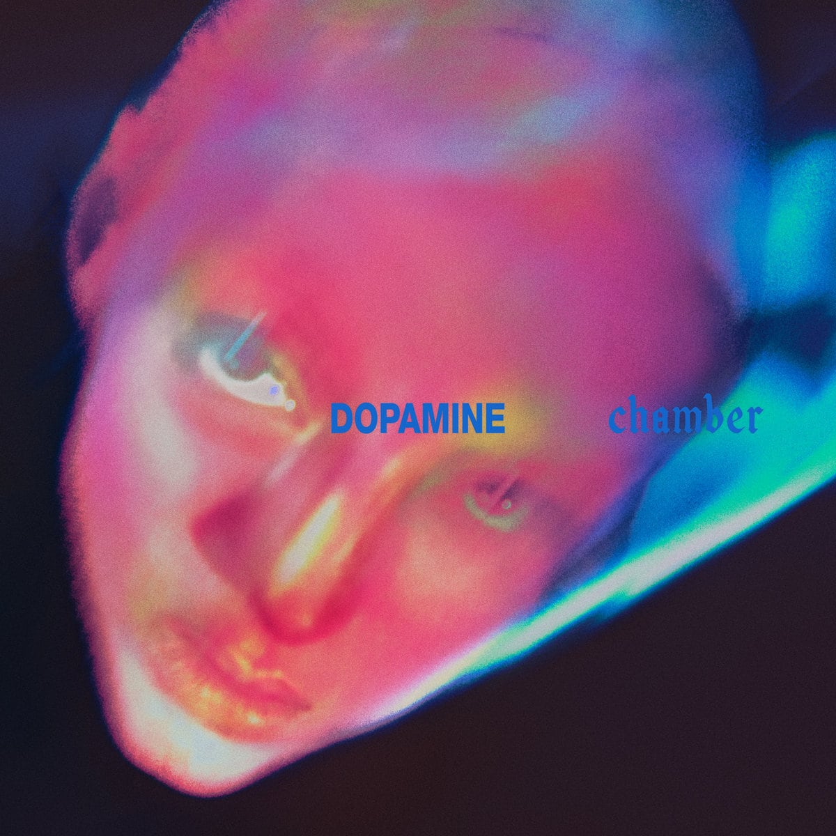 【予約商品 / 10.16 Release】Fontaines D.C. / Dopamine Chamber(CD)