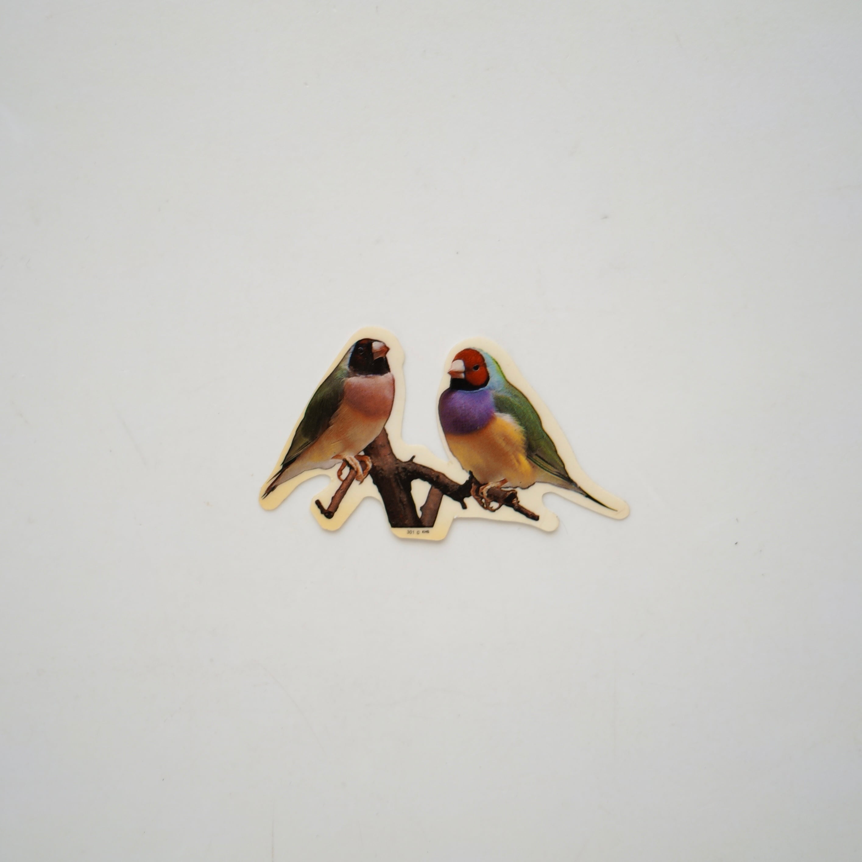 Vintage Sticker / Birds