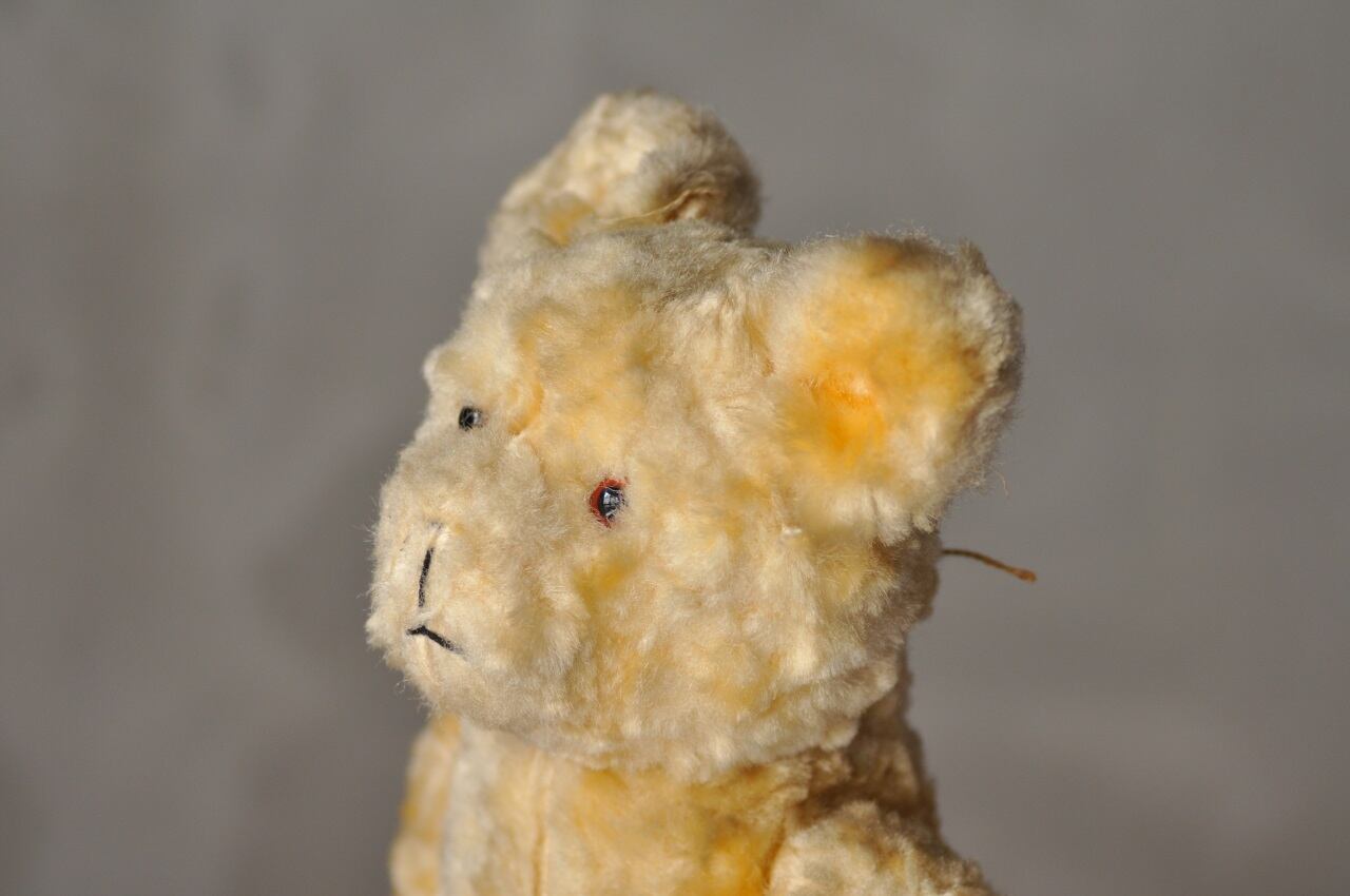 Teddybear4