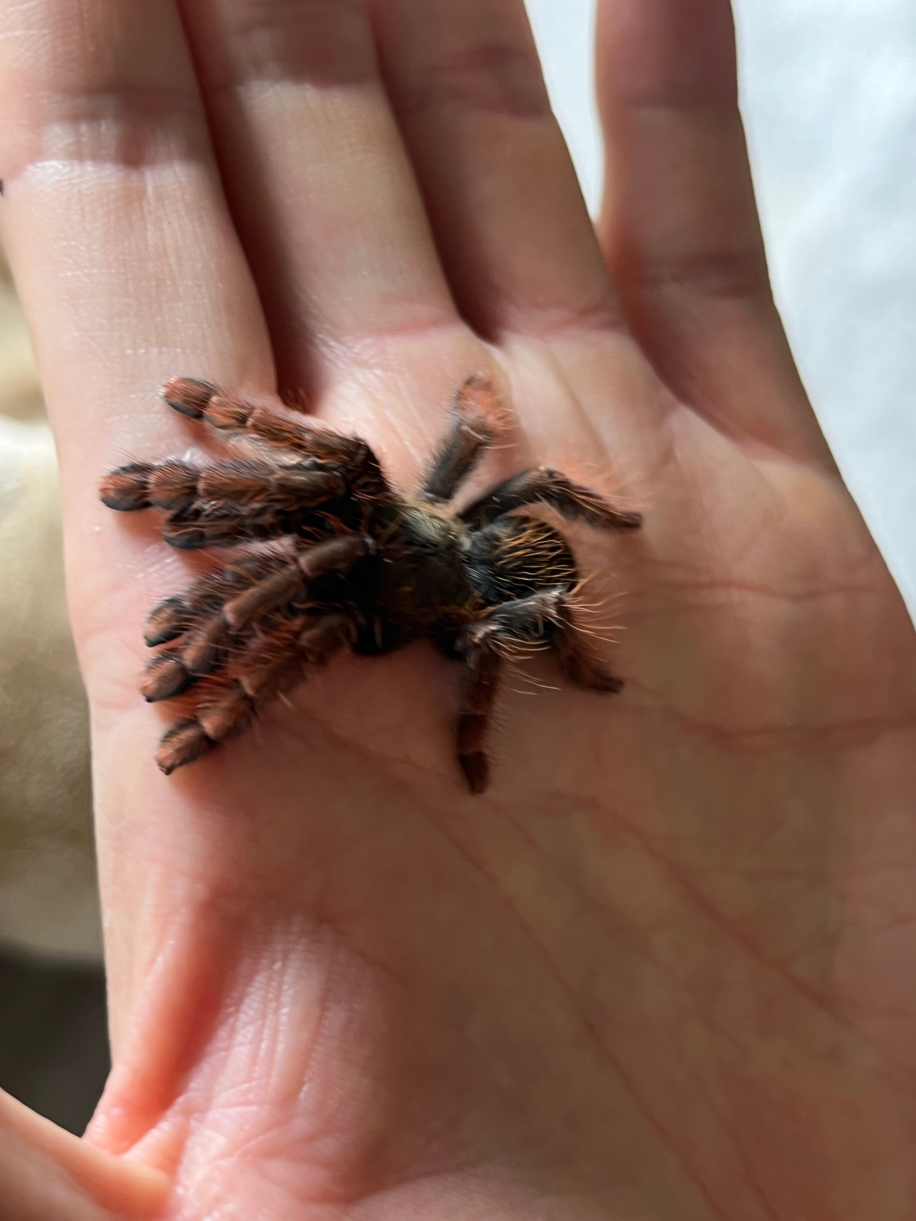 b8070a133a510da6fe4341eb2a0f84