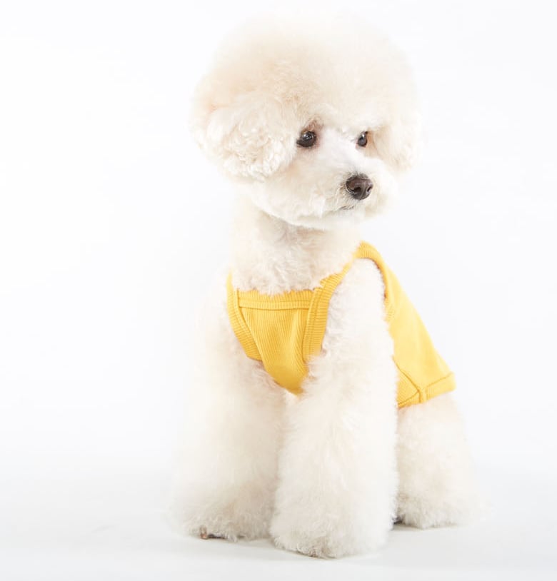 クマちゃんタンクトップ S ~ 2XL  /  犬の服 犬服 ペット洋服 ドッグウェア ペット用品 小型犬 中型犬 b41