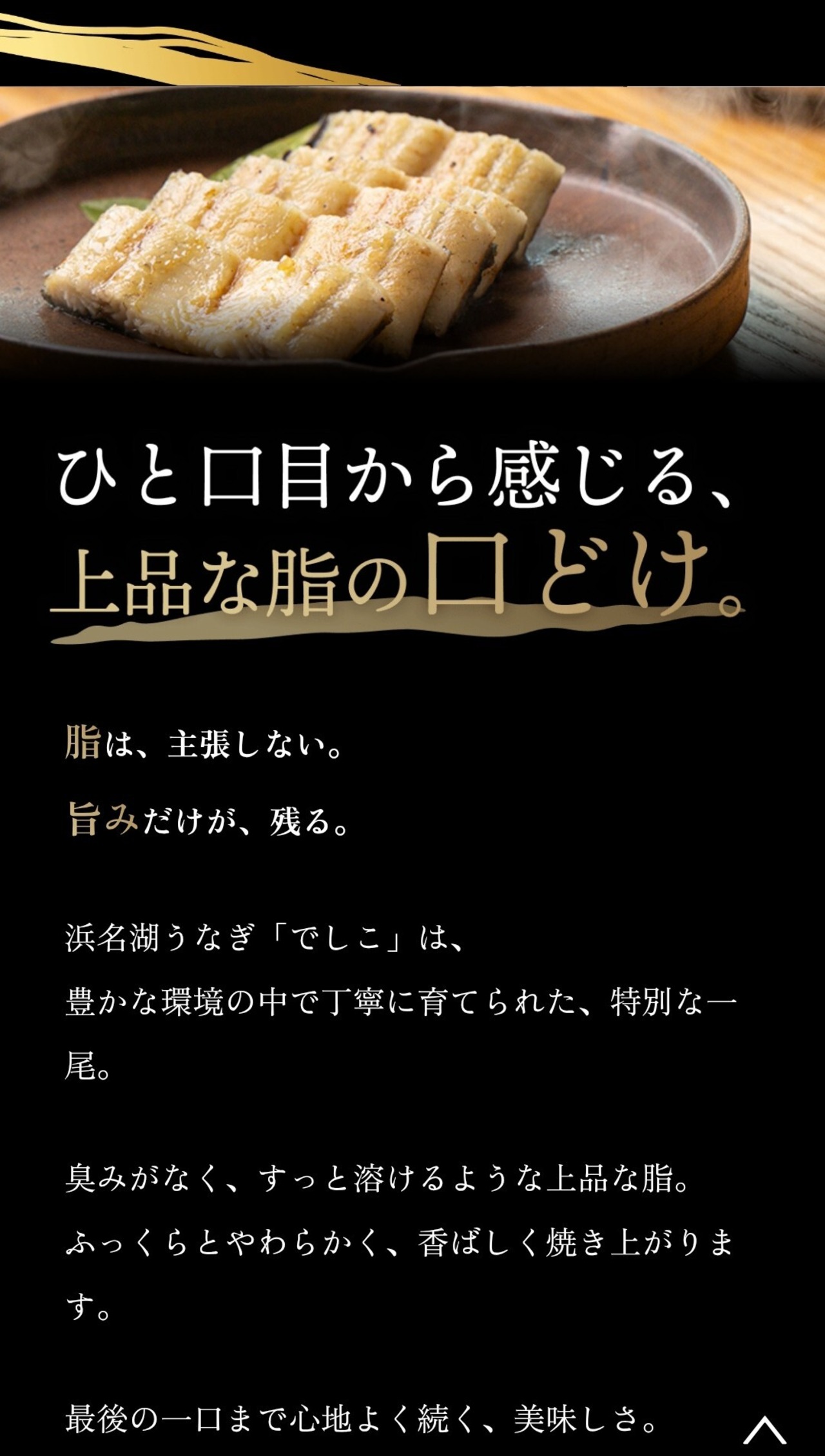 【土用の丑】でしこ/白焼き/静岡県浜名湖/最大サイズ【冷凍】