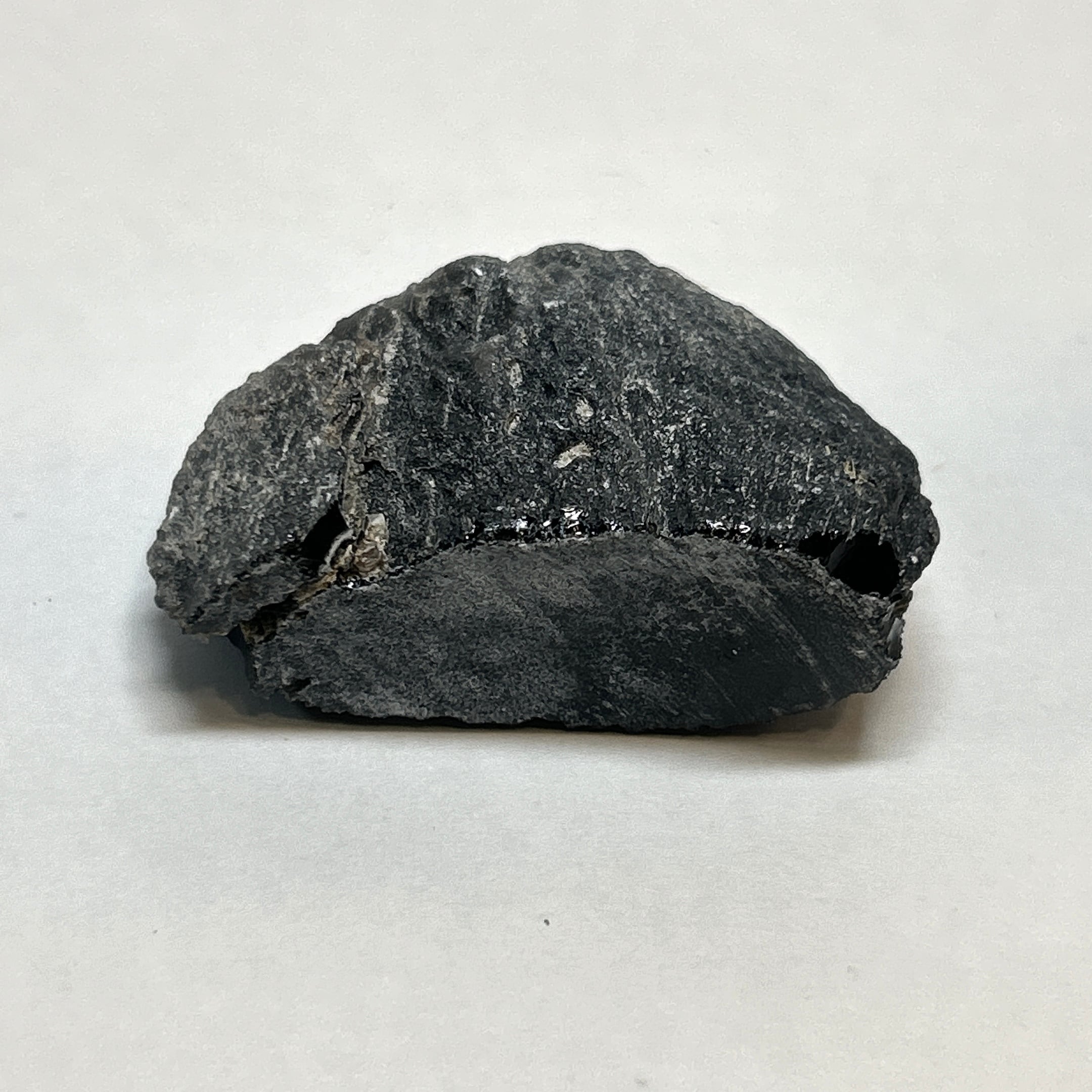 ⭐テクタイト（隕石起源の天然ガラス） | クリスタル・ワールド御徒町店