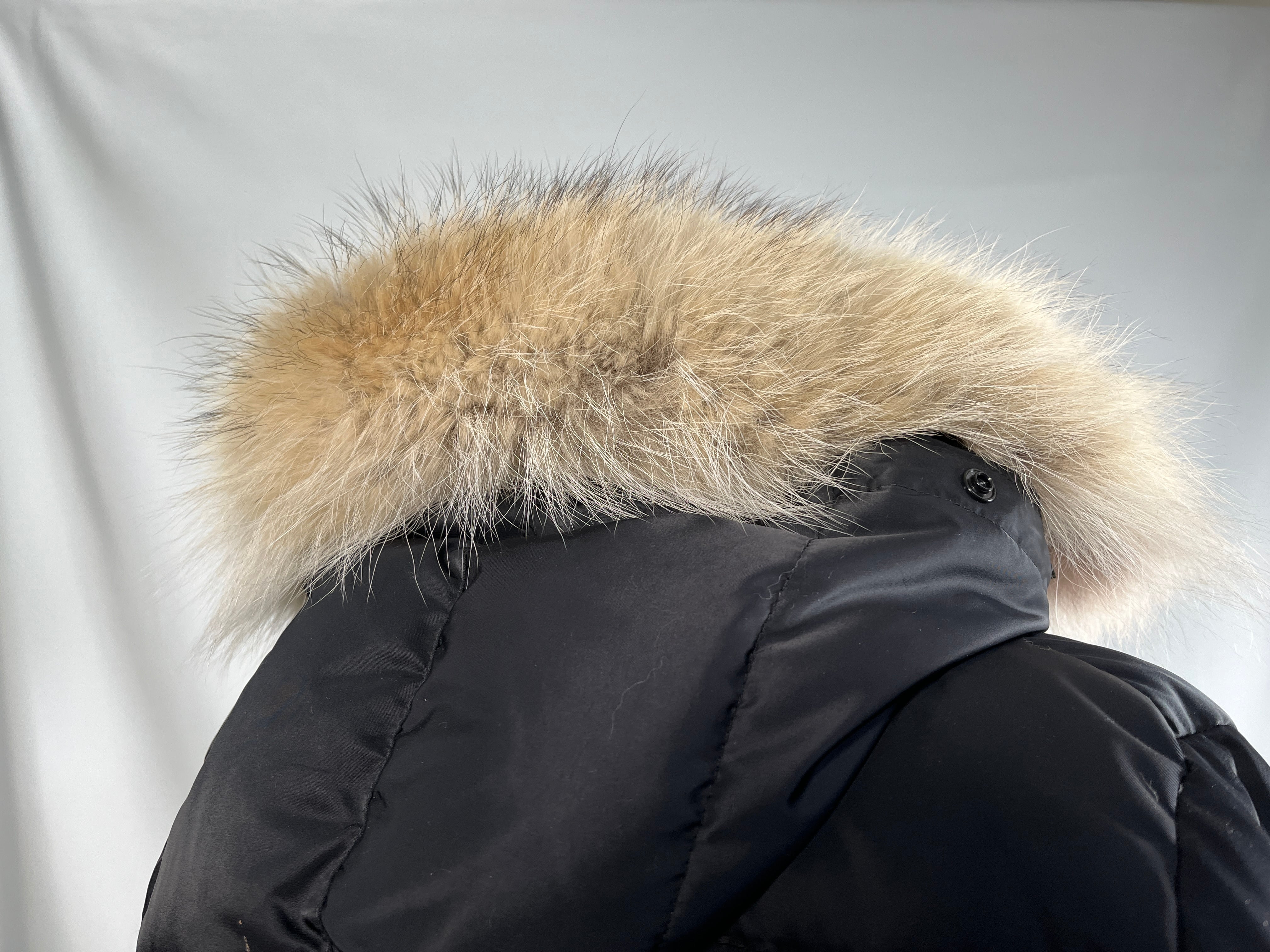 b80c1b9246042aa97e98ce2459f946