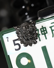 獅子狛犬 「阿」 NumberBolt /黒鉄