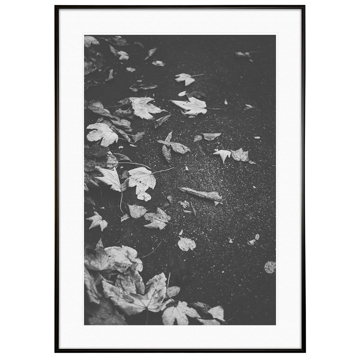 秋写真 紅葉と枯葉 インテリア モノクロ(モノトーン)アートフォト