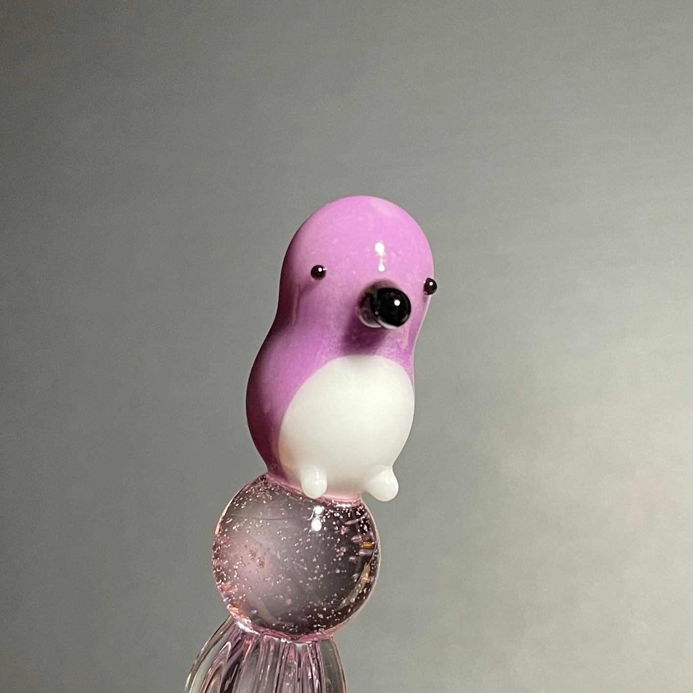 シロハラムクドリ