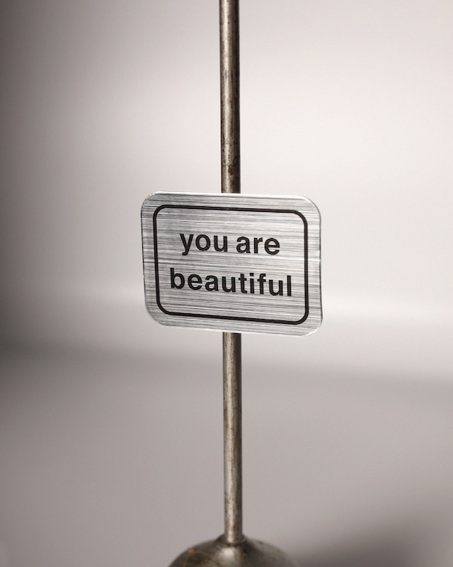 You Are Beautiful / Metallic Magnet